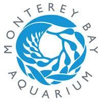 Exhibit Designer Monterey Bay Aquarium In Monterey Jobs Art