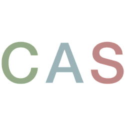 Custom Art Surfaces logo